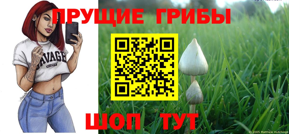Фрязино  Псилоцибиновые грибы Magic Shrooms  Вход с VPN  Галлюциногенные грибы MAGIC MUSHROOMS 